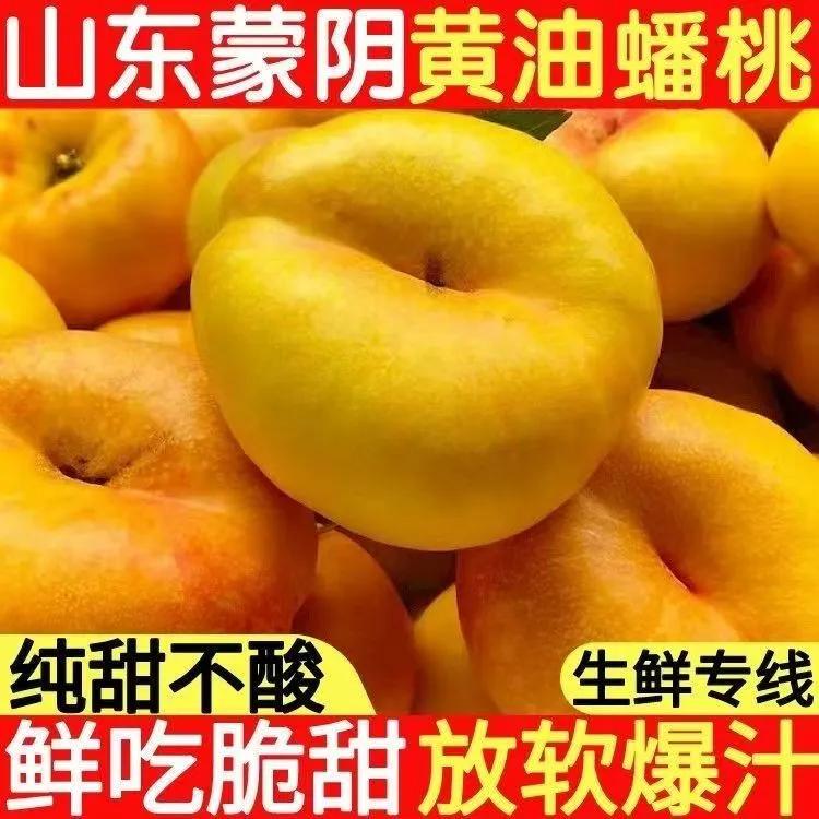 【王大水专属】正宗山东蒙阴无毛黄肉黄油桃当季新鲜顺丰包邮