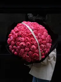 进口芍药花 超美花 仙女花 女神花 温柔浪漫  