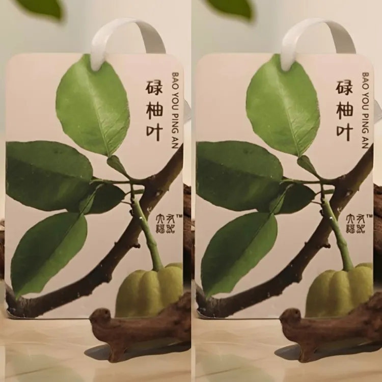 碌柚叶香薰片2片装清新空气家居车载香卡