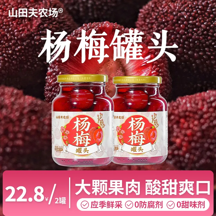 杨梅罐头水果罐头大瓶418g糖水新鲜果肉颗粒即食零食整箱中秋送礼