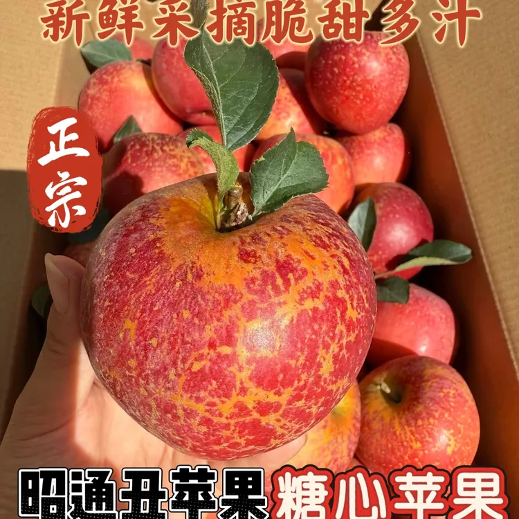 云南昭通冰糖心丑苹果新鲜现摘脆甜多汁应季水果产地直发