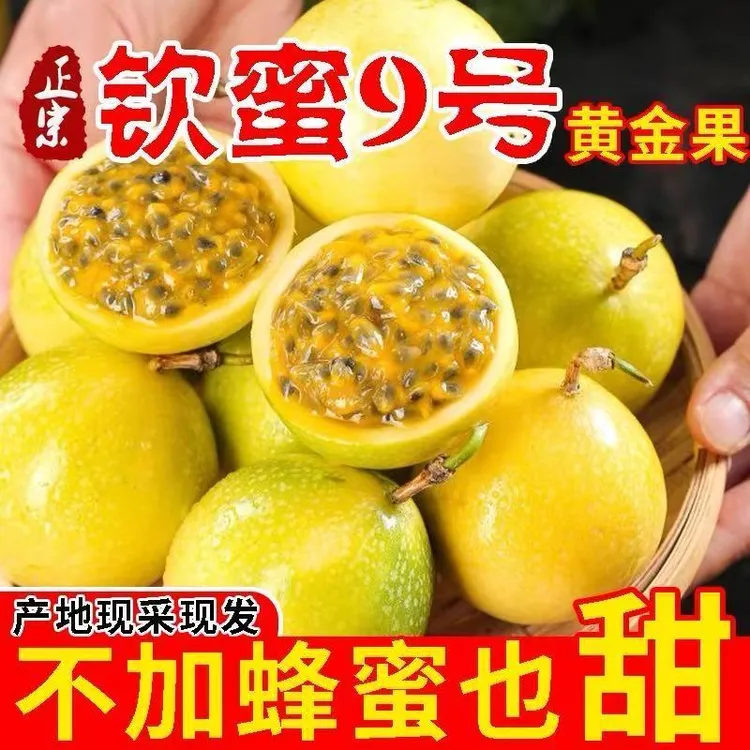 【现拍现发】正宗钦密九号黄金百香果现场挑果纯甜无酸天然果饮新鲜