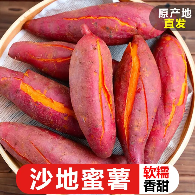 农家新鲜现挖正宗蔬菜沙地红薯软糯香甜新鲜现挖地瓜烤红薯