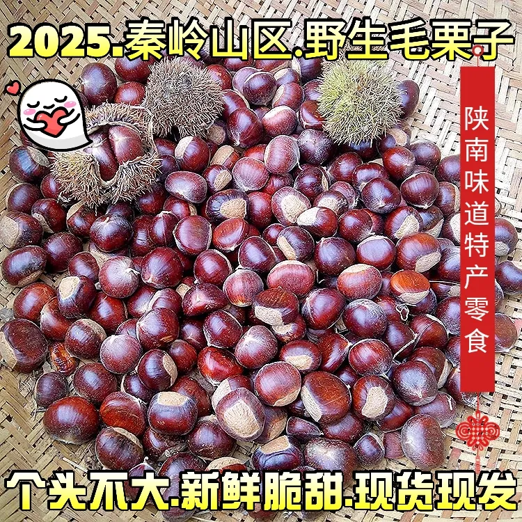 陕南特产毛栗秦岭山区镇安野生小毛栗新鲜油栗子/大板栗5斤包邮