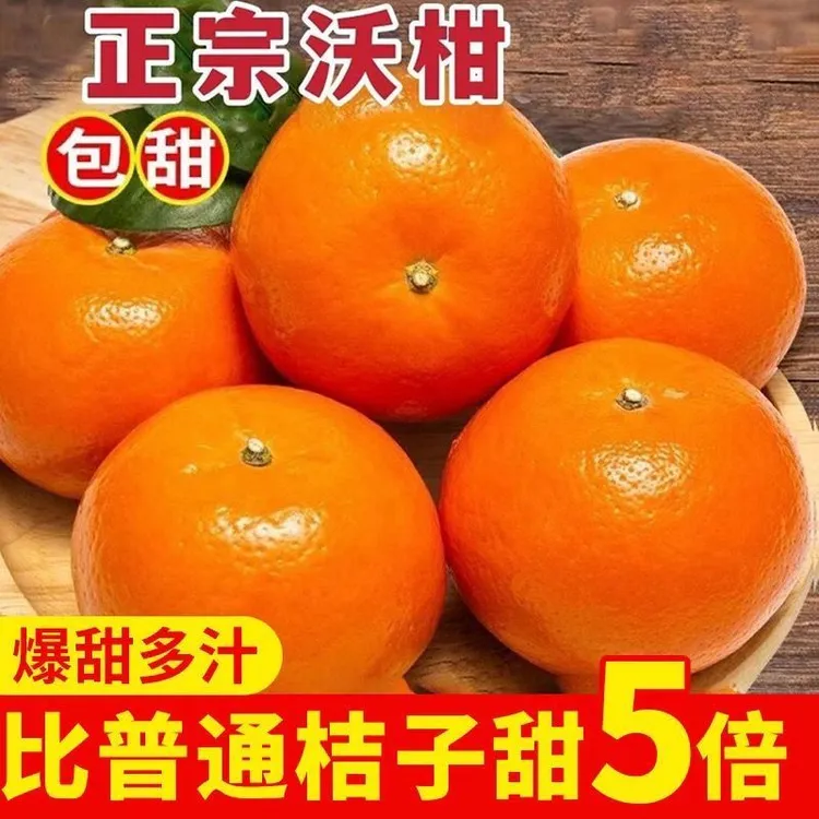 【桂夫人】广西武鸣沃柑/新鲜现摘/皮薄多汁/当季水果原产地/超甜