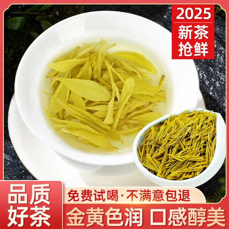【支持试喝】【2025年新茶】黄金芽01茶叶明前茶送人礼盒送人过节绿茶