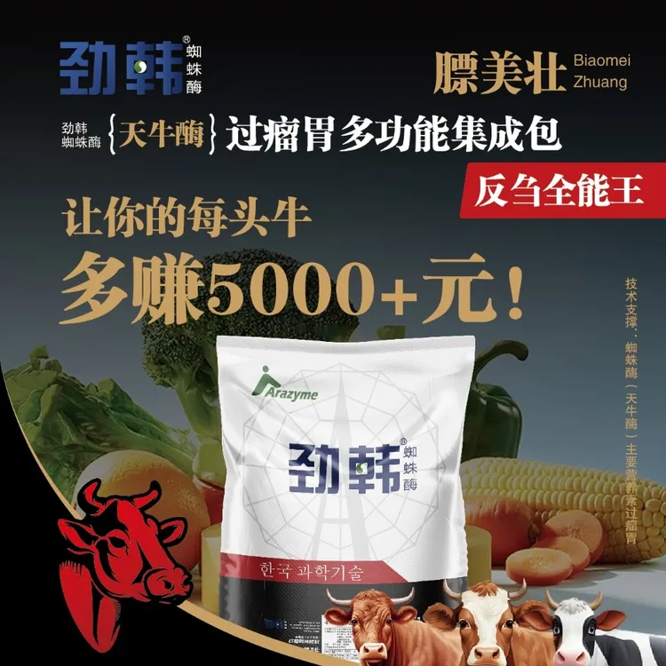 蜘蛛酶过流喂牛羊多功能集成包