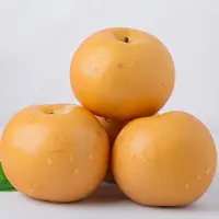 山东秋月梨4.5斤xm