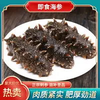 【小明正能量专属】ZD即食海参 营养滋补 肥厚劲道  8-10头/斤