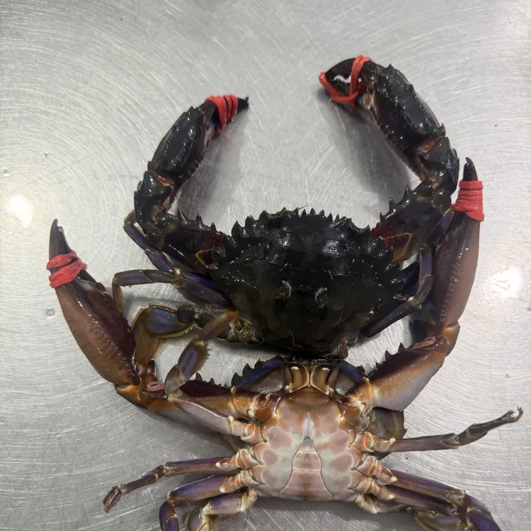 东港野生赤甲红【保鲜不保活】3斤个别缺腿大小不均介意勿拍