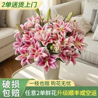 【源头优选】西亚拉重瓣百合 任意2单鲜花升级快递发货后不支持退款