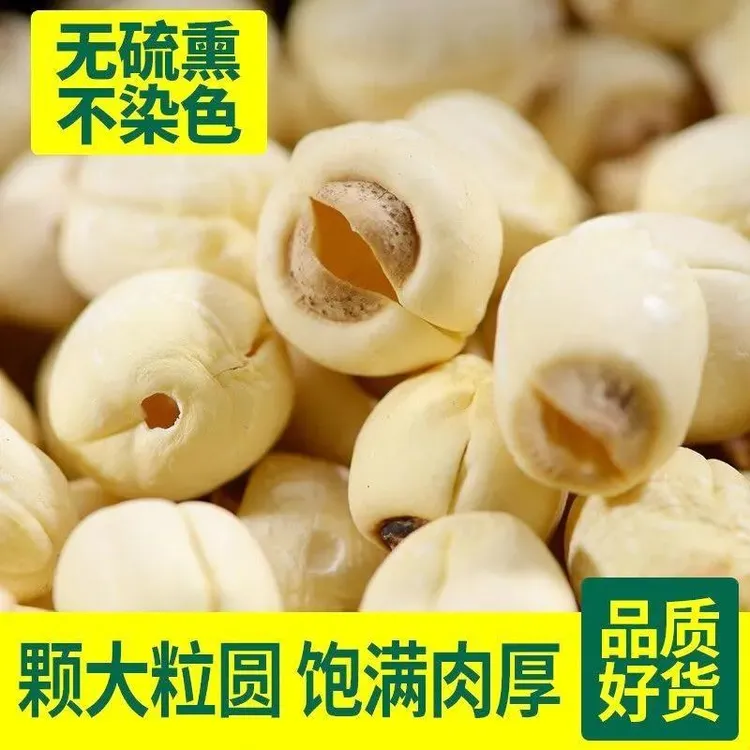 通芯莲子江西正宗无硫精选去芯干货通心莲子熬粥煲汤消暑莲子批发