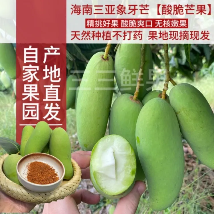 海南三亚象牙芒酸芒果生吃芒果无核嫩果青脆芒果广西酸嘢芒果云南