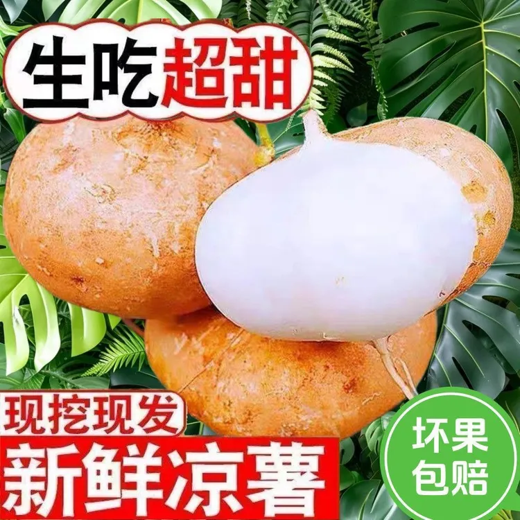 云南地瓜地萝卜凉薯新鲜土瓜清甜爽脆现挖现发当季清甜水果蔬菜