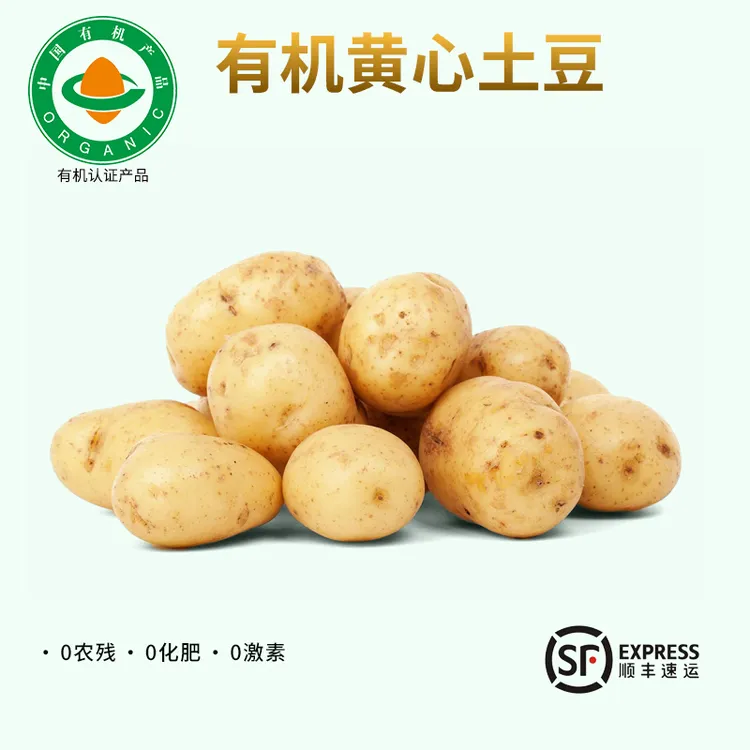 有机蔬菜有机土豆 云南土豆新鲜现挖马铃薯洋芋辅食当季安心蔬菜