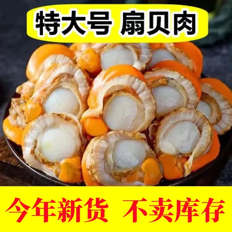 【到手五斤】无泥无沙新鲜熟冻扇贝肉炒菜饱满去壳