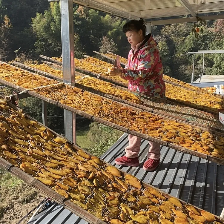 温州正宗高山上的红薯干自晒地瓜干