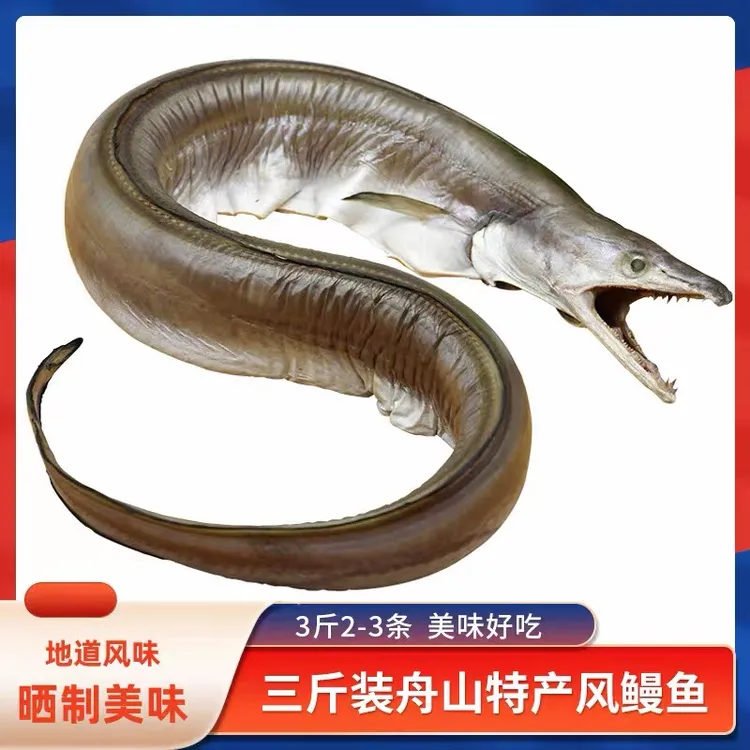 宁波舟山风鳗本地海鳗海边自然海风晾晒（宁波口味）清蒸即可
