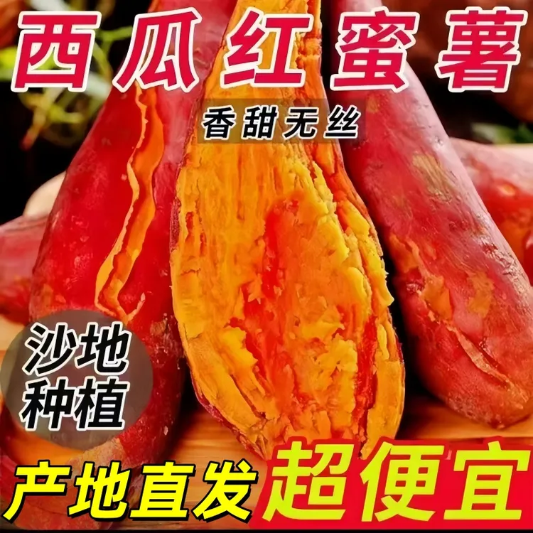 西瓜红红薯软糯无丝薯香四溢农家自产坏果包赔新鲜头茬当季热卖