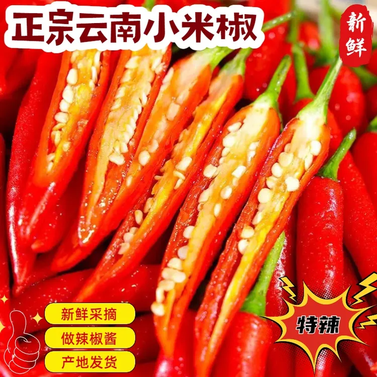 【精选品质】正宗云南特辣小米椒朝天椒农家自种新鲜采摘泡沫箱发货