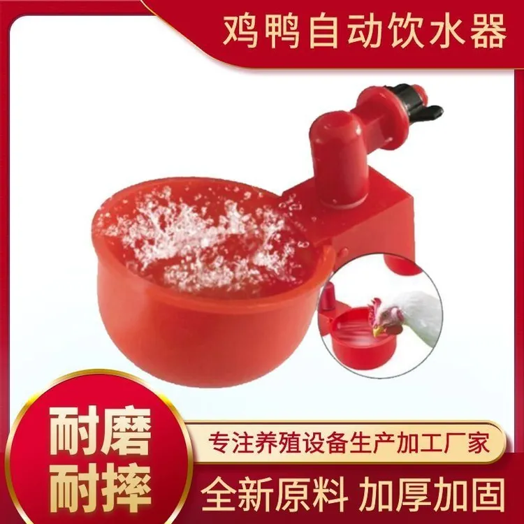饮水碗自动饮水器鸡用饮水器鸽子雏鸡家禽鸟用喝水碗喂水碗水槽