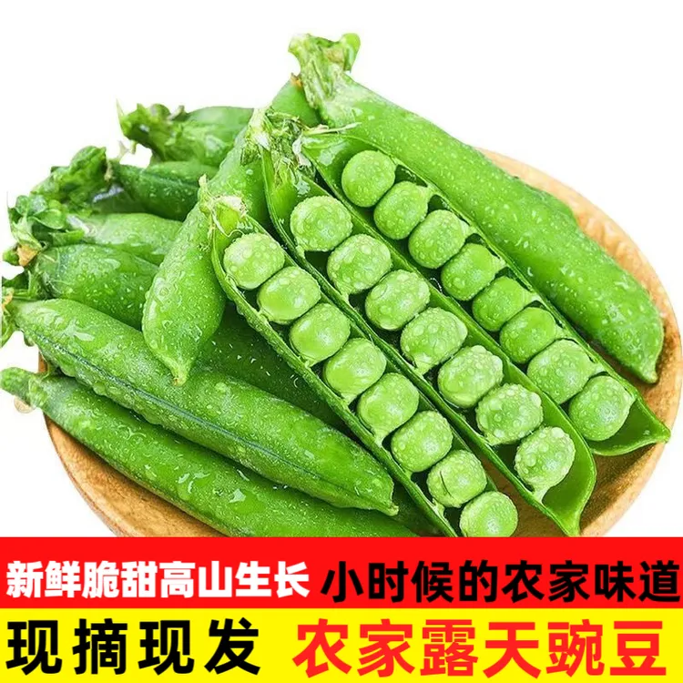 【新鲜现摘精品】云南豌豆带壳新鲜农家自种蔬菜青豆素菜甜脆生豌豆