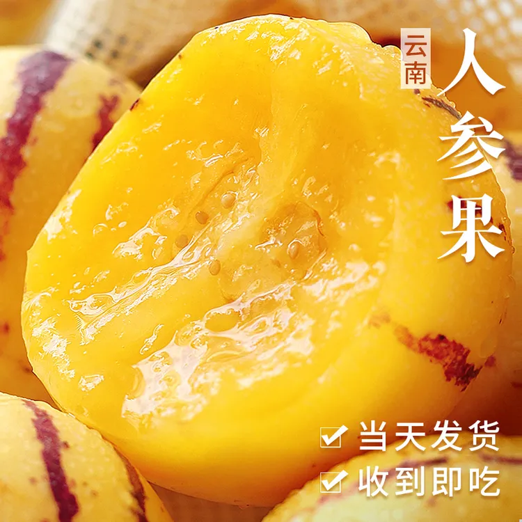 【清甜多汁】云南人参果甜蜜多汁整箱包邮坏果包赔