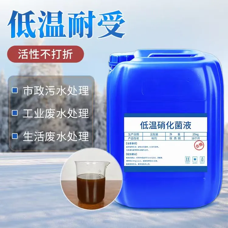 低温硝化菌污水处理降氨氮