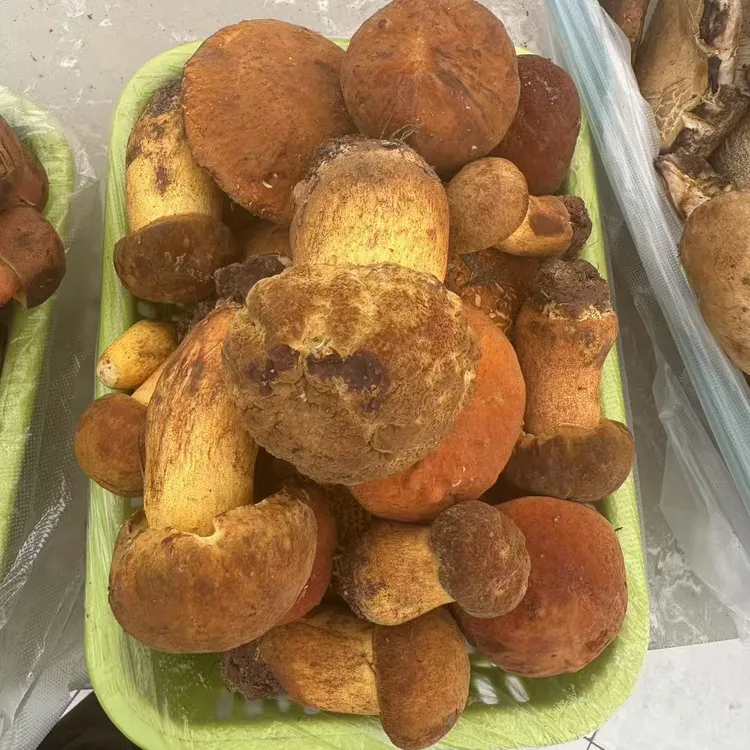 云南新鲜精选黄赖头黄牛肝菌黄香菌顺丰空运包邮