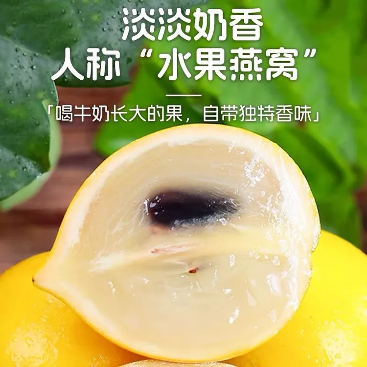西双版纳产地直发纯甜黄晶果新鲜采摘
