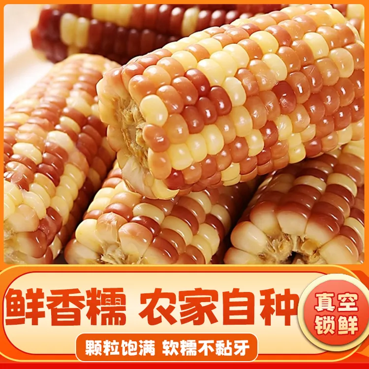 云南西双版纳香糯小玉米新鲜即食真空装包香甜小花糯玉米玉米