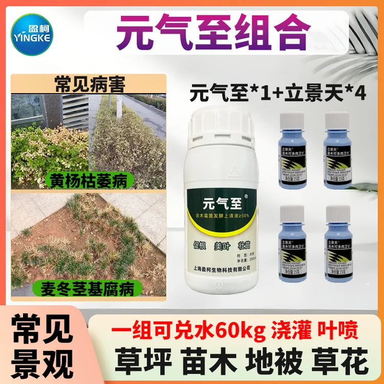 元气至立景天病害杀菌剂+叶面肥组合杀菌促长