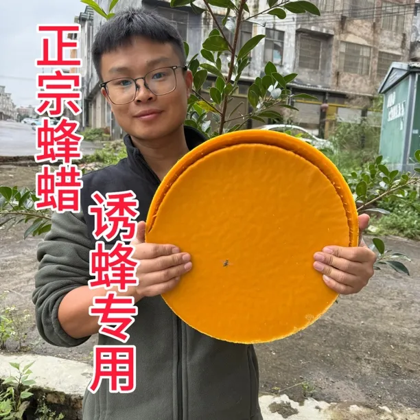 正宗老巢脾中蜂蜡土蜂蜡天然蜂蜡正宗无添加