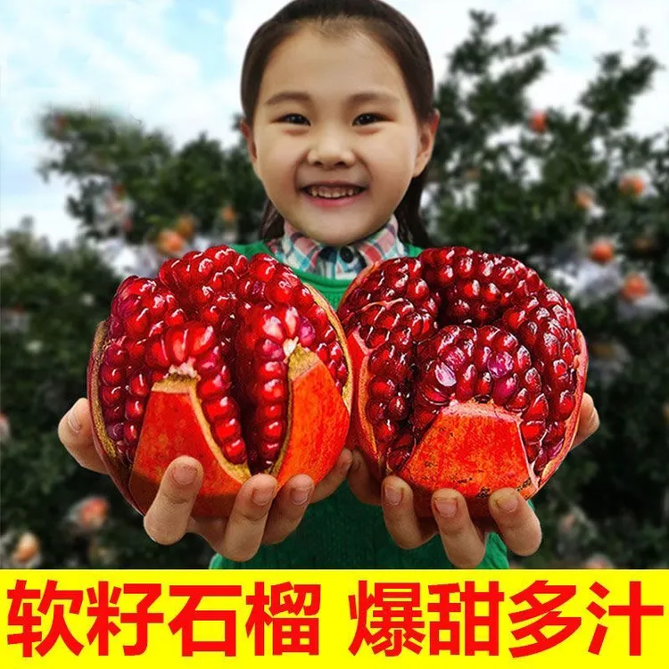 四川会理突尼斯软籽石榴整箱红石榴水果新鲜采摘甜石榴非无籽石榴