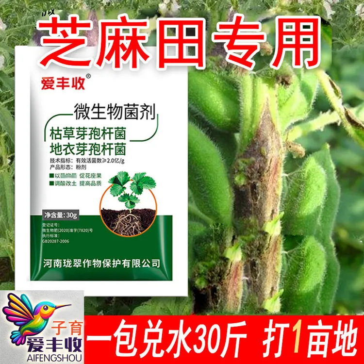 爱丰收芝麻专用微生物菌剂芝麻微生物肥料保花保果复绿微生物肥料