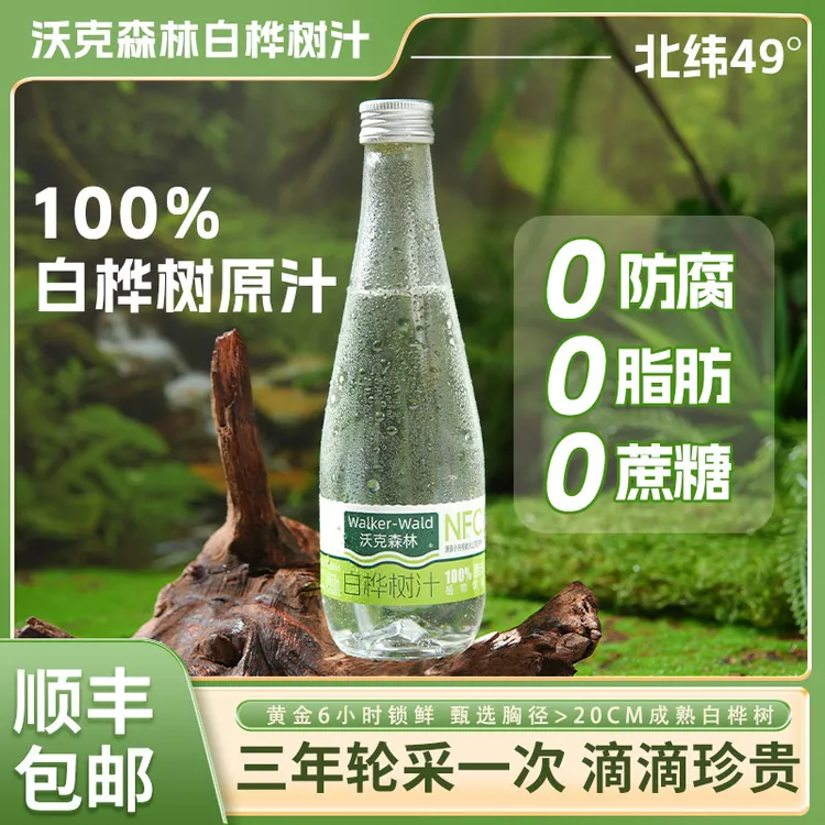 沃克森林 100%NFC天然白桦树汁原汁原液植物饮品320ml*6瓶/箱