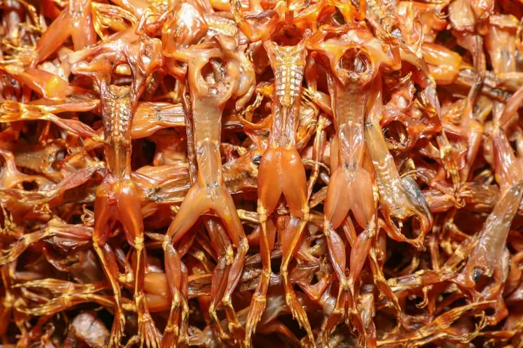 湖南特产 柴火烟熏青蛙 腊麻拐 鲜活现宰熏制 非牛蛙 下酒好菜