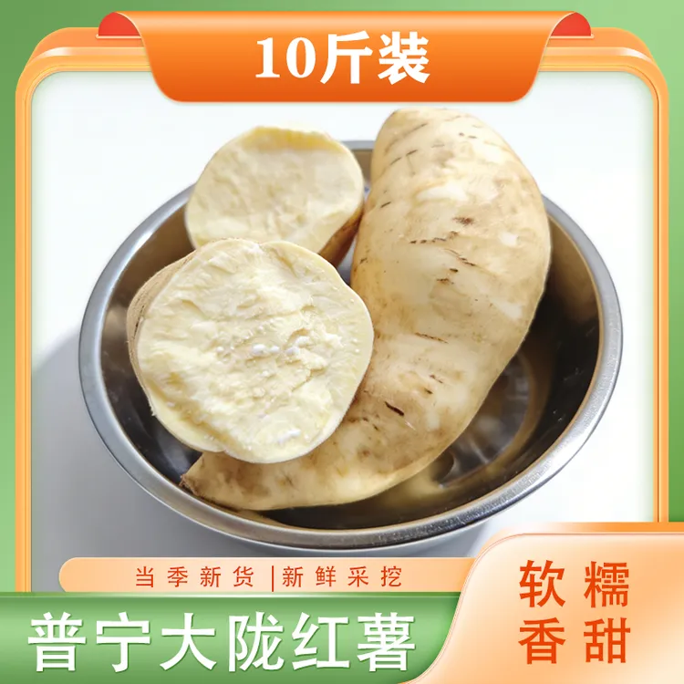新鲜板栗薯香甜粉糯甜度适中皮薄肉厚薯肉橙黄潮汕现挖现发