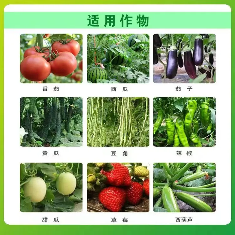 瓜果蔬菜通用型安全控旺叶面肥适用于西瓜甜瓜茄子番茄豆角