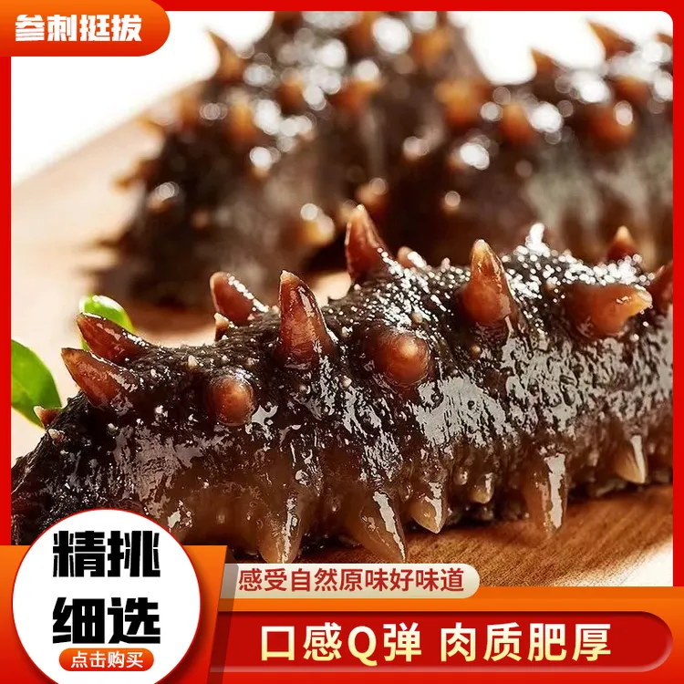 包邮滋补特产开袋辽参直播卖货即食鲜食正宗辽参海参礼盒鲜食海参