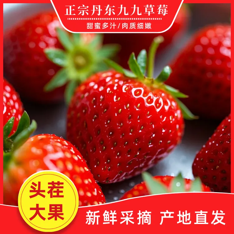 【顺丰空运】正宗丹东九九草莓产地直发新鲜采摘现采现摘坏果包赔