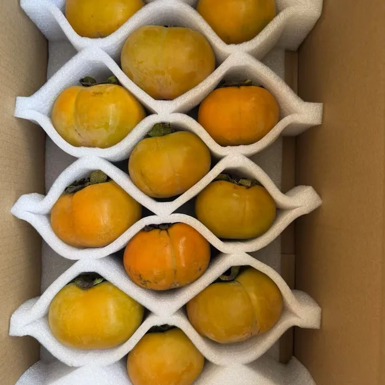 古田脆柿，清甜可口，顺丰