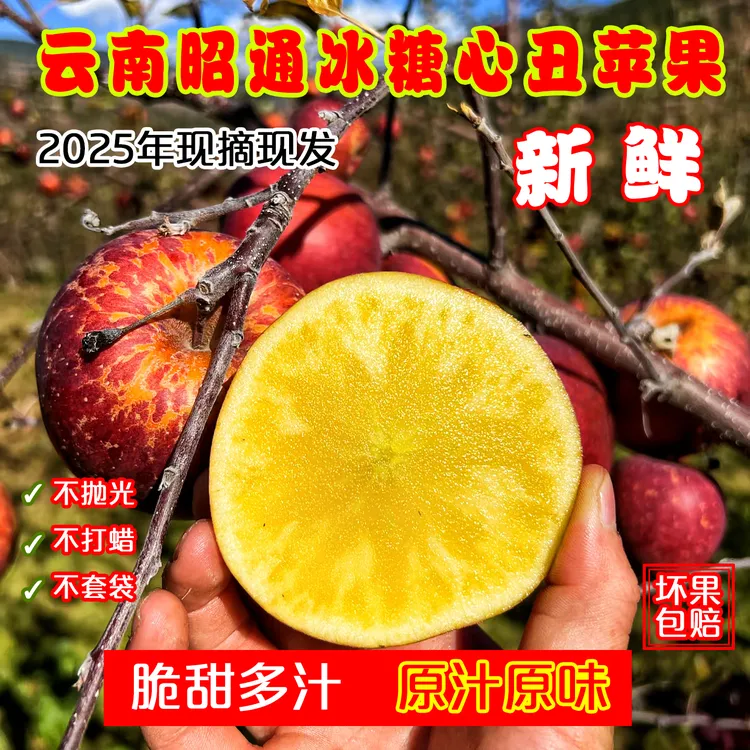 【精选好果 】正宗云南昭通冰糖心丑苹果红富士新鲜水果产地直发