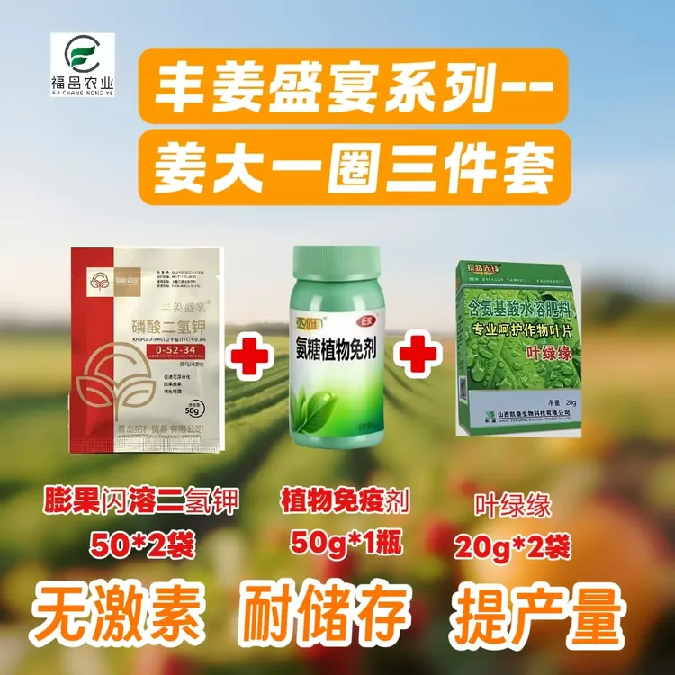 姜大一圈生姜膨大叶面肥保叶增产促进养分回流无激素耐储存