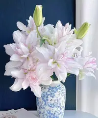 【冰美人重瓣百合】 稀有品 鲜切花