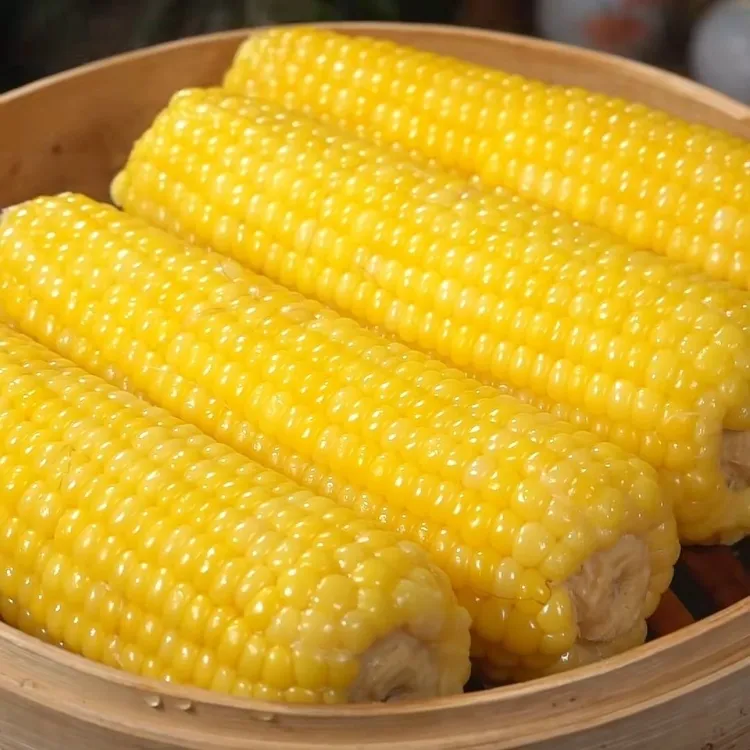 【小七专属】春熙旺25年头茬黄糯玉米八支装5-5.5斤