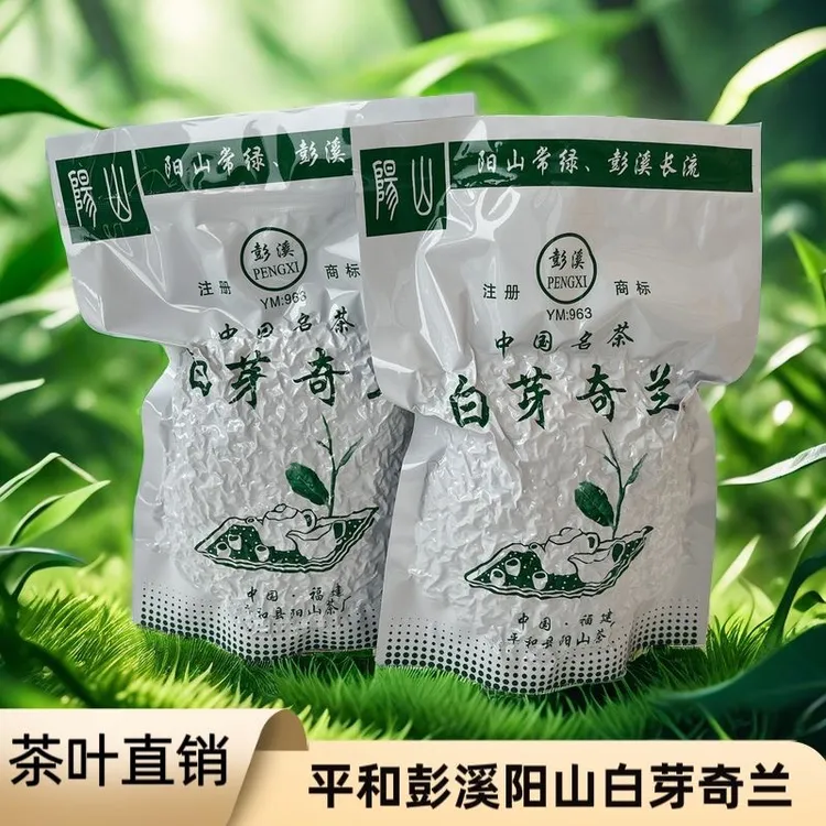 白芽奇兰新茶叶乌龙茶正宗彭溪阳山茶厂秋茶浓香型原产地奇兰熟茶