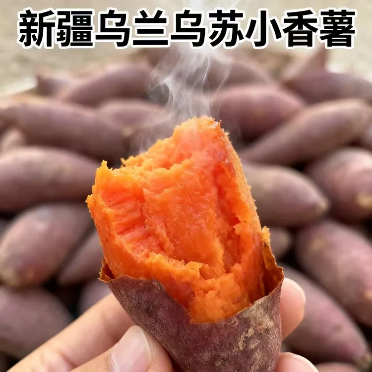 新鲜正宗乌兰乌苏小香薯沙地红薯软糯香甜