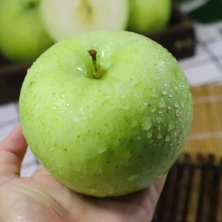 昭通（酸脆小苹果）25年头茬新鲜云南老金帅青苹果孕妇水果现摘现发