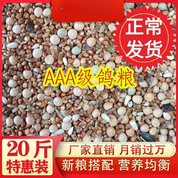 鸽子粮食幼鸽成鸽种鸽赛鸽信鸽鸽子饲料打比赛用